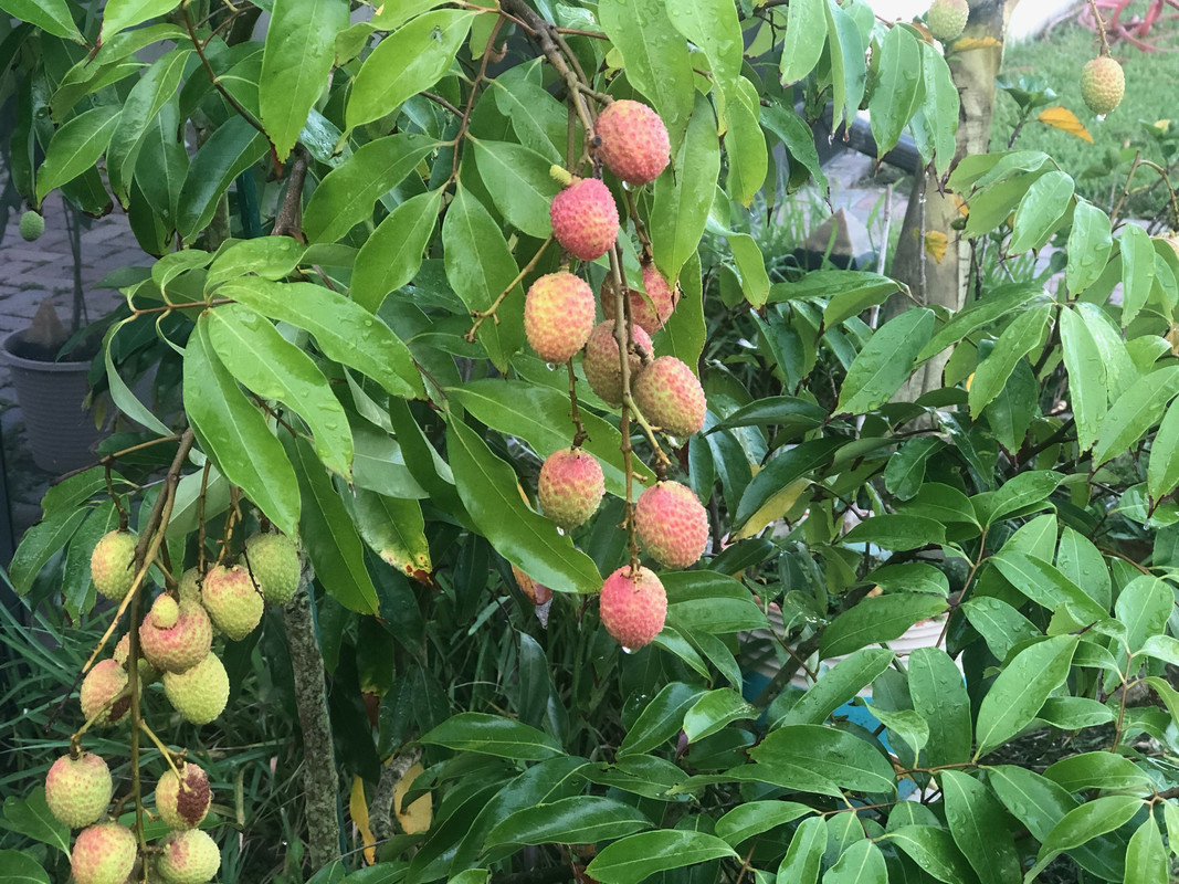 5A8FB658-3B31-41EE-B272-BFFDE7D9EC2E