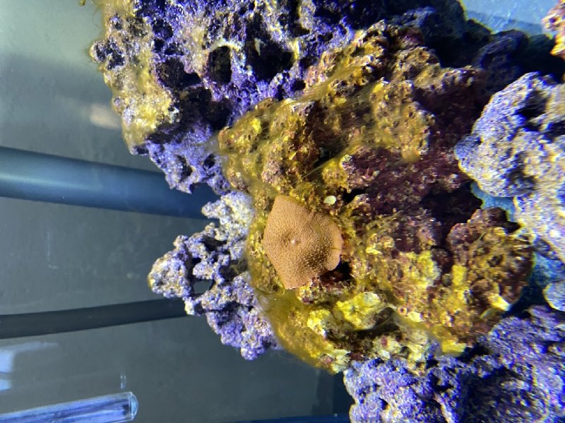 A1AFDA0B-775D-4D08-B2FC-D9D1FA1E90A7