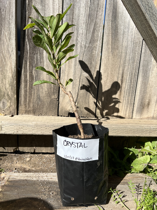 908A42B7-E39D-4B8F-9AF8-79EACA69ABB4