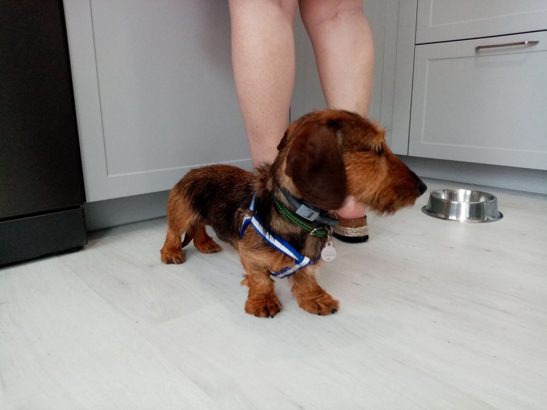 [Image: image000000-303.jpg]