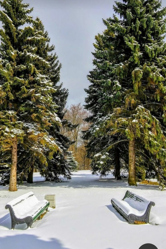 Screenshot_20240108_210133_Pinterest