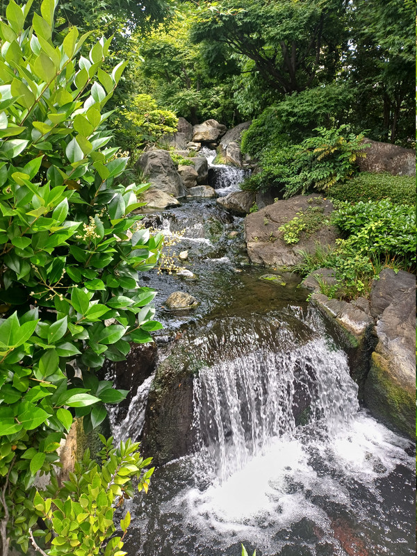 Savourer les bonnes choses 20250606-114151