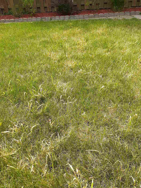 IMG-aeb4d40dd8bf8e1cebaf008c44c4a094-V