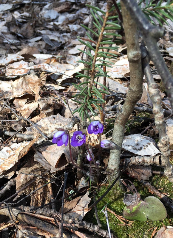 407E5971-3684-4AE3-B5C7-81CF86EC5D53