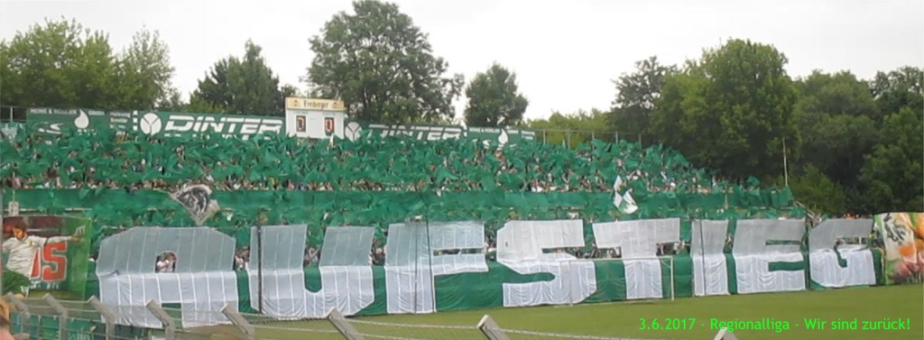 Regionalligaaufstieg 2017