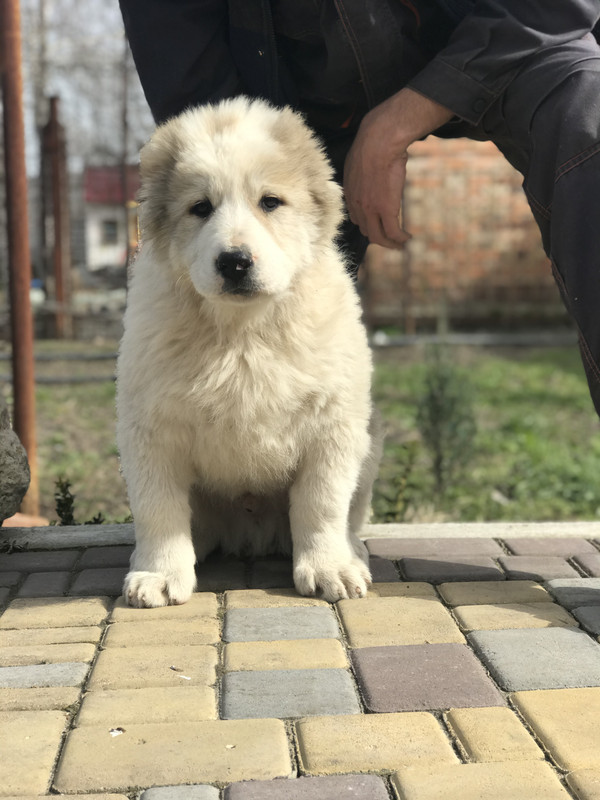 892AFF95-DEED-4843-BDF6-1566B680AB40