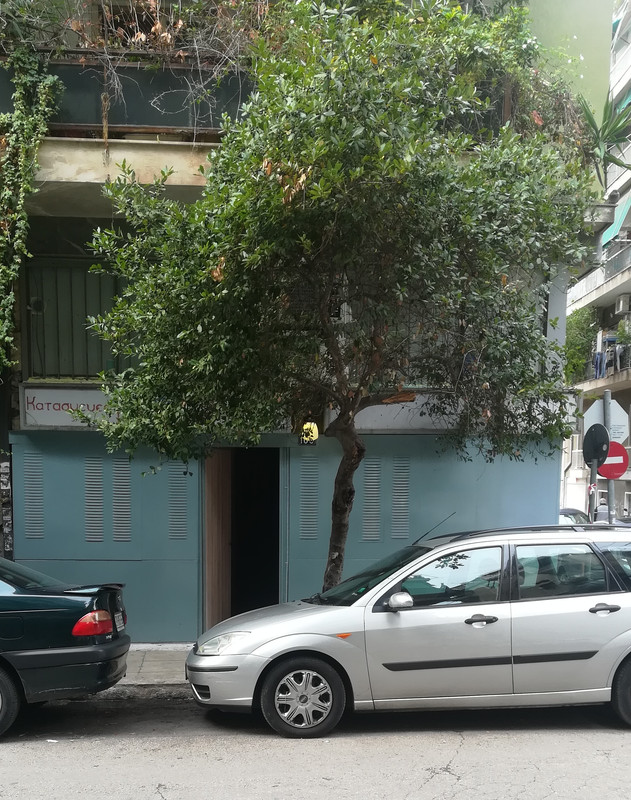 IMG-20191117-113401.jpg