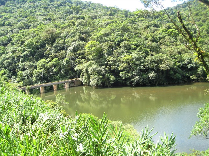 Tren Sierra Verde Exprés-22-2-2010 - Brasil y sus pueblos-2010 (17)