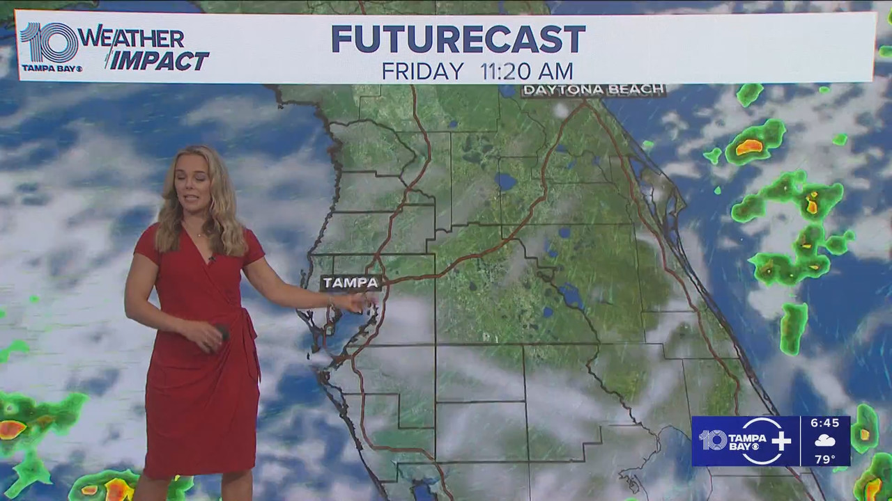 10 Tampa Bay News This Morning at 600 a.m_20250905_11001200.ts_snapshot_46.52.168