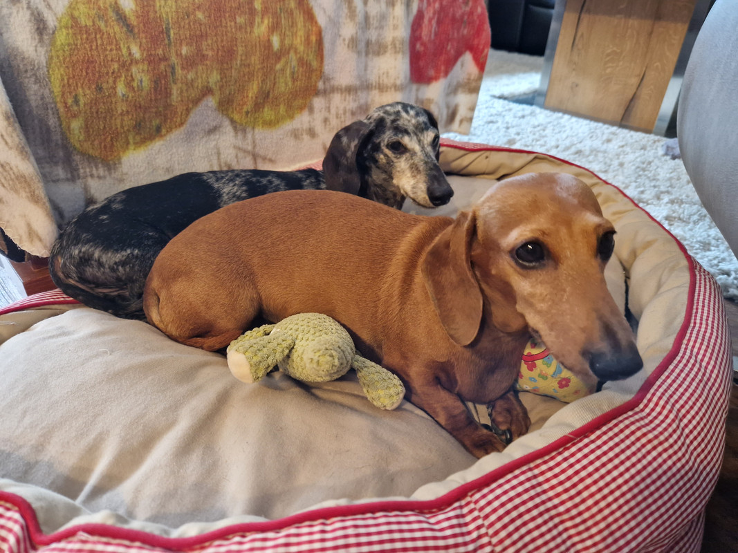 [Image: 20230916-135556.jpg]