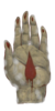 HAND