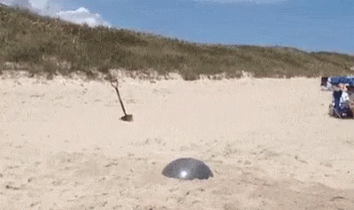 IMG-0536.gif