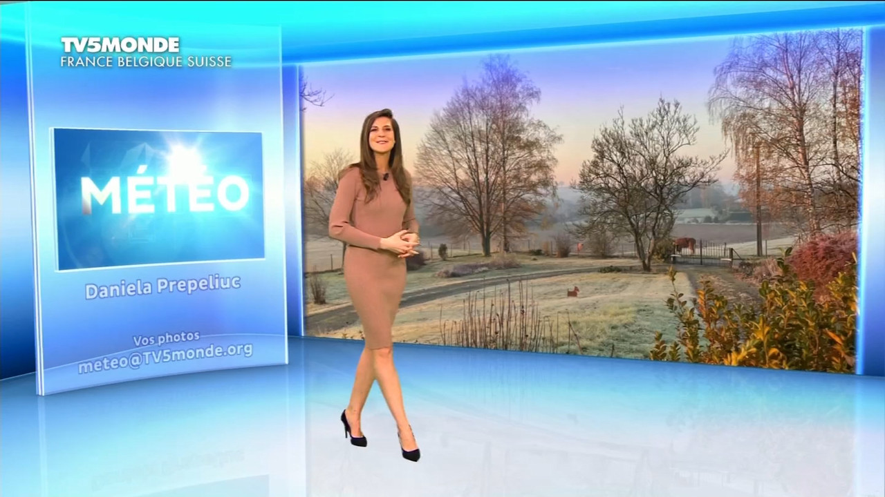 01.02 - 17.26.00 - Météo. Le bulletin météorologique international.ts_snapshot_06.50.018