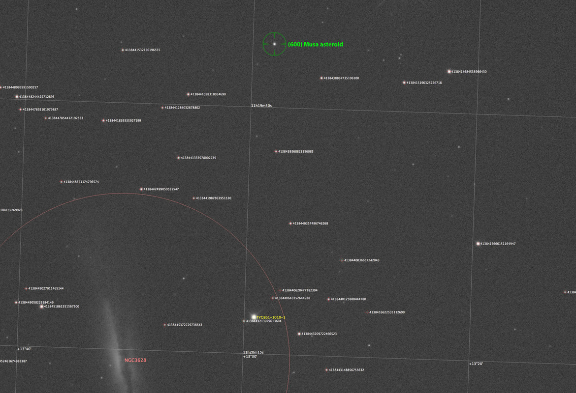 600 Musa asteroid