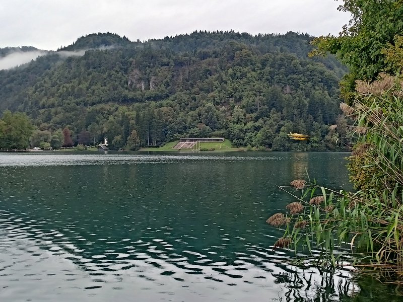 IMG20250902113517.jpg
