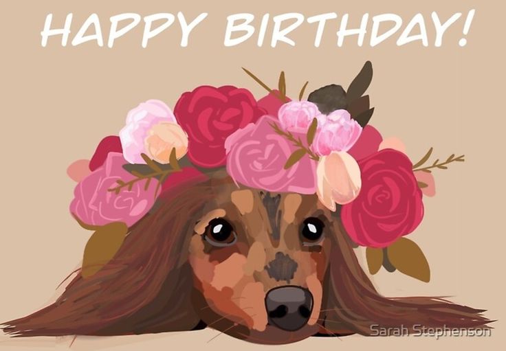 [Image: 7ed8061ba440e9c30f28669cb65934d2.jpg]