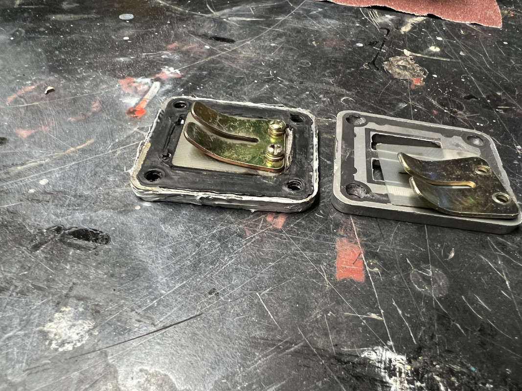 4FDEDB48-7261-47BE-B038-52F5C0A63503