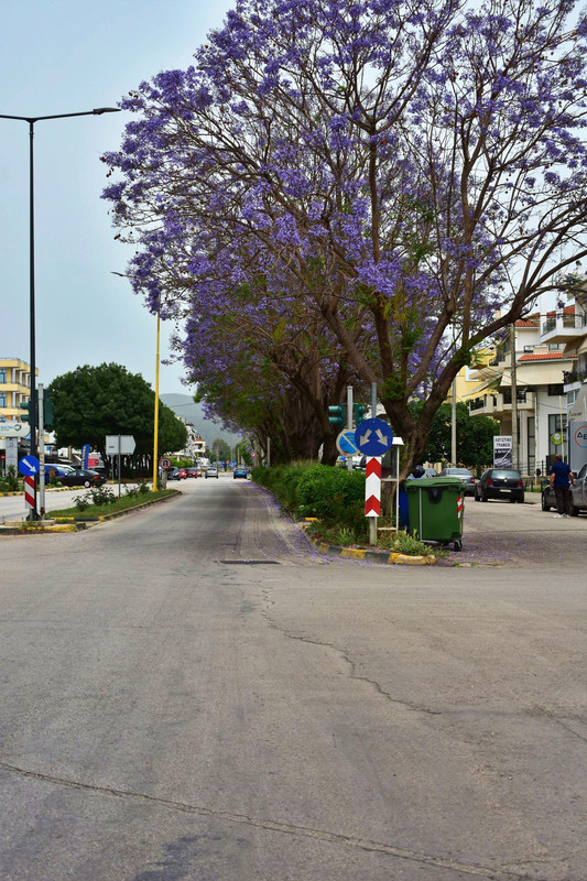 Άρτα 2ο μέρος (2)