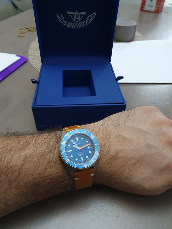 Helson - Shark Diver 42mm - Page 2 2