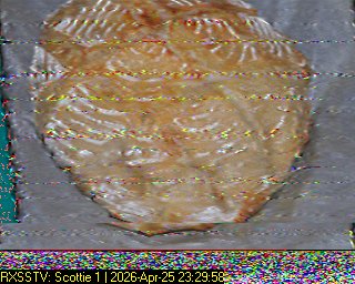 2026 04 25 23 29 58