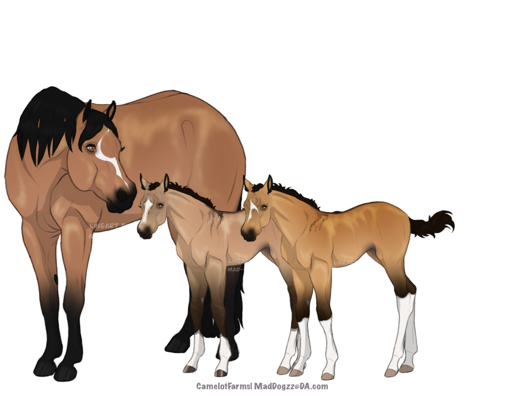 8322C437-6E76-40CA-86D7-5179A56390B7