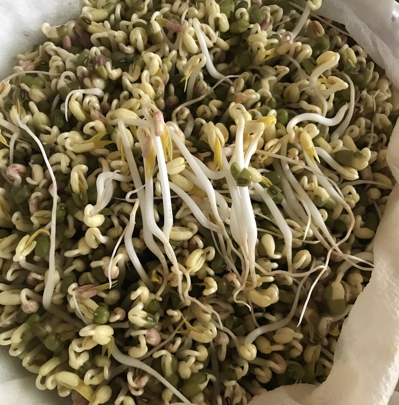 57BA6554-F427-45CC-B7CF-10BFE98B6882