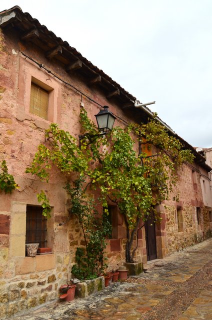 Sigüenza-2010/2023 - Guadalajara y sus pueblos-2010/2023 (95)