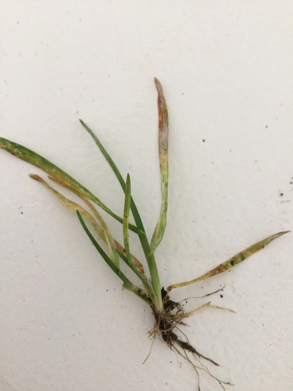 59708232-425C-44B9-A87F-F3259465E1E8