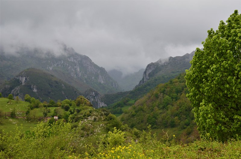 PICOS DE EUROPA-16-5-2013-LEON/ASTURIAS/CANTABRIA - Paseando por España-1991/2016 (45)