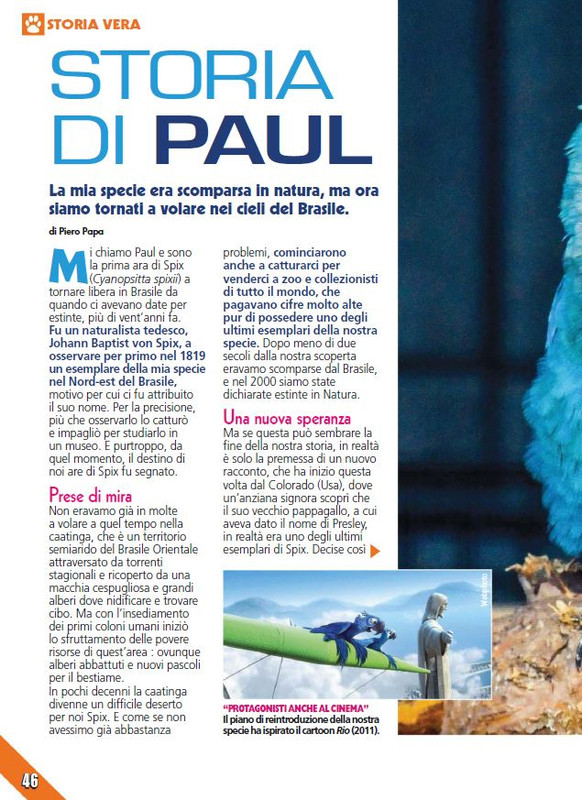 Foc Wil - Giu 2023 (9)