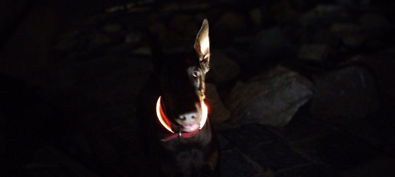 0 02 05 d927dcf447e27b5b7d61f725281e8420f78ca15ed67324c15c01cd299b3c31e6 8077c20412cae5bc