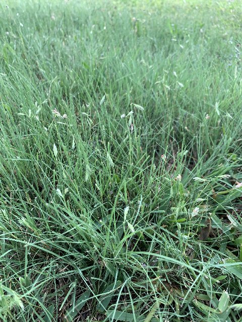 63CDB113-A716-4E84-A806-F5DCF35E3B57