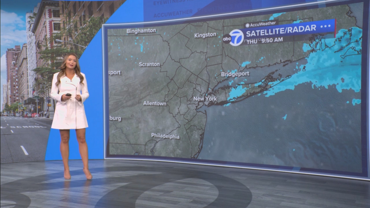 Eyewitness News Mornings at 10_20250529_15001600.ts_snapshot_00.15.20.391