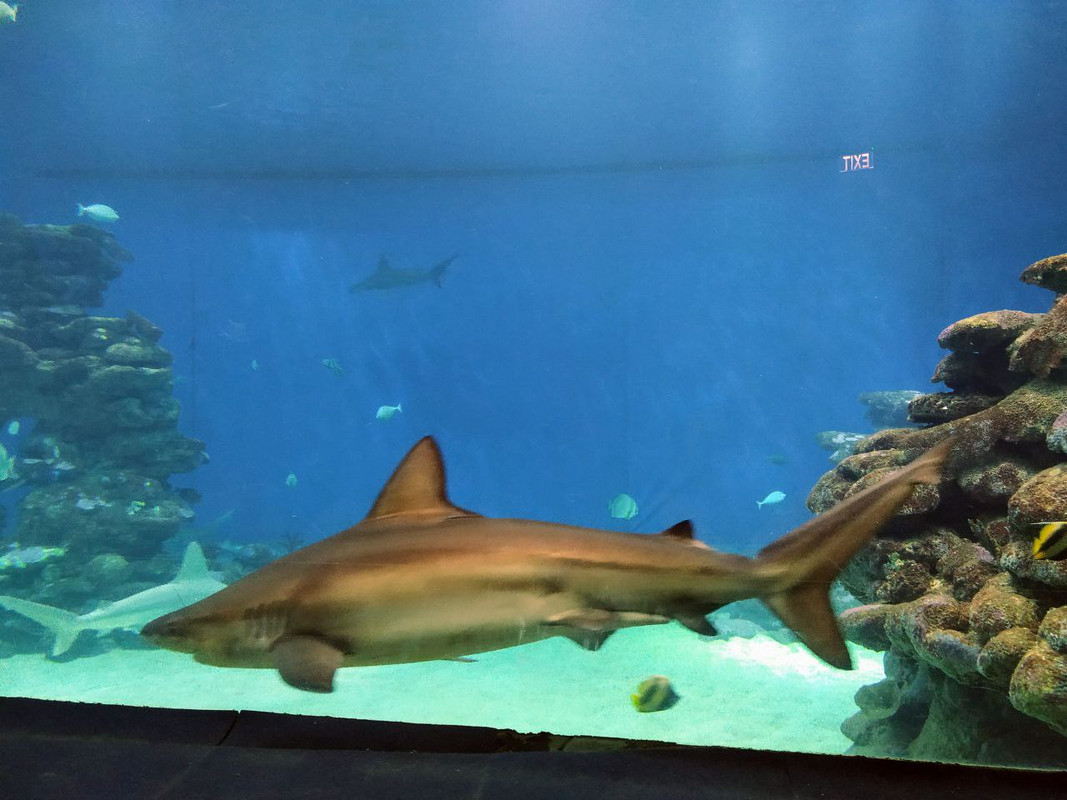 BD17D6E0-47D7-49C6-86E5-41930D483318