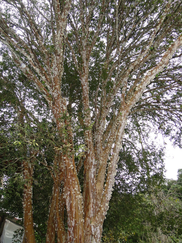 DSC00342
