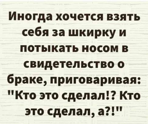 [Изображение: photo-2025-05-18-15-11-27.jpg]