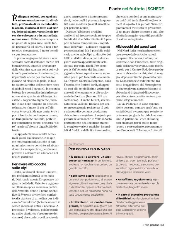 Il Mio Giar Lug-Ago 2021 (10)