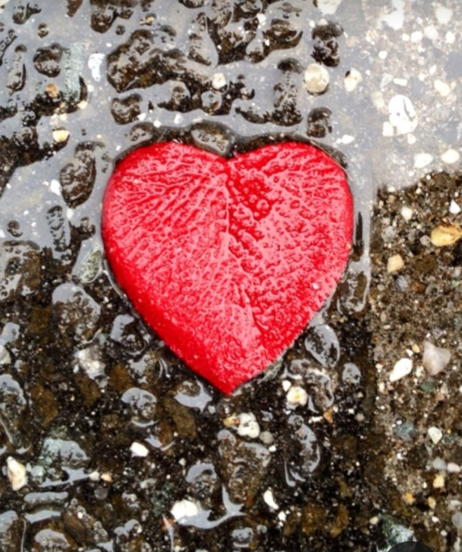 Screenshot_20240214_174214_Pinterest