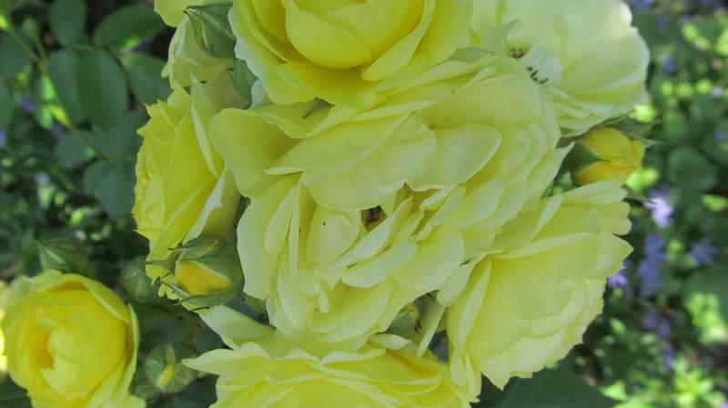 019