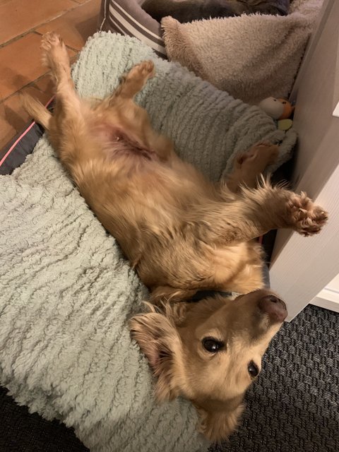 [Image: 34-EC4041-1949-493-A-96-C5-C4-FDF88994-E3.jpg]