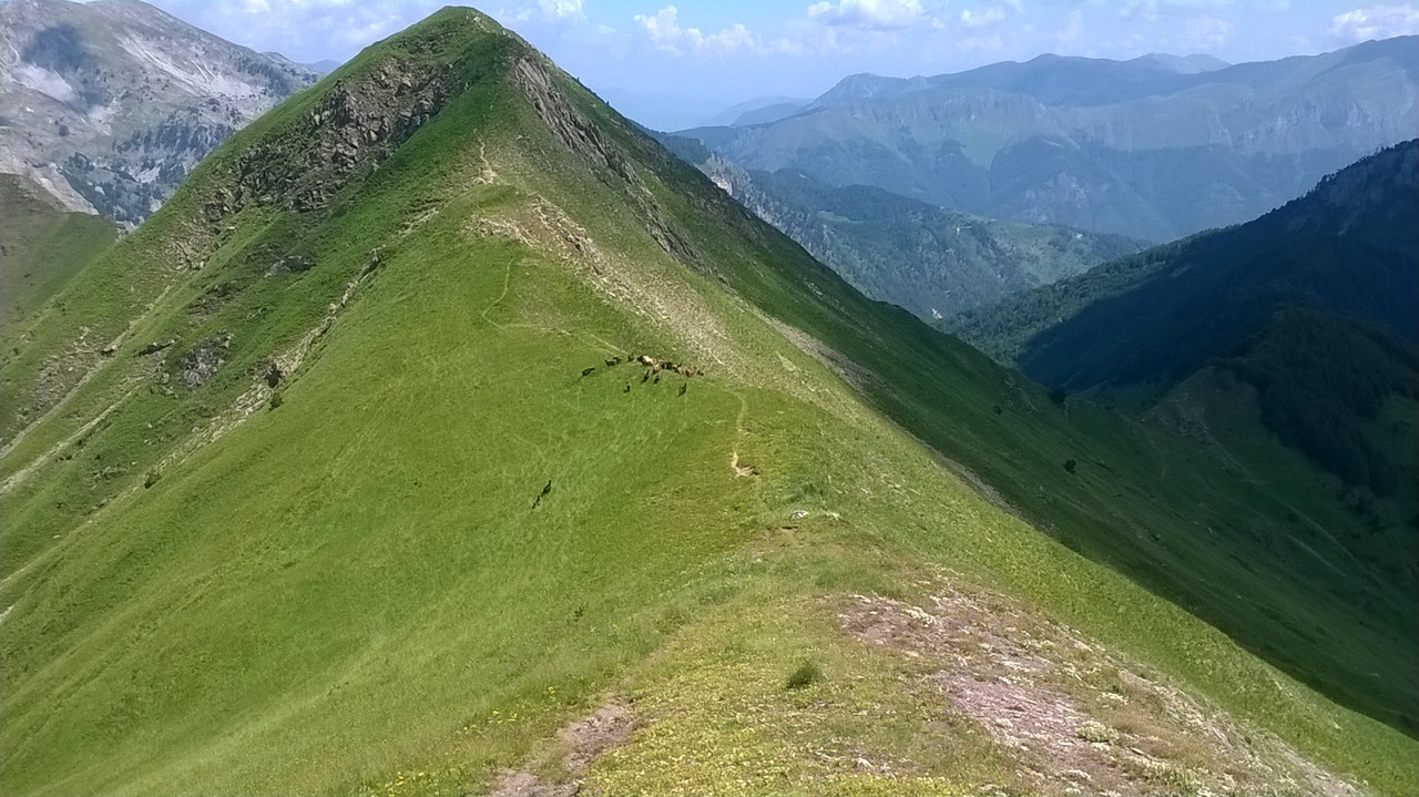 WP_20160703_022