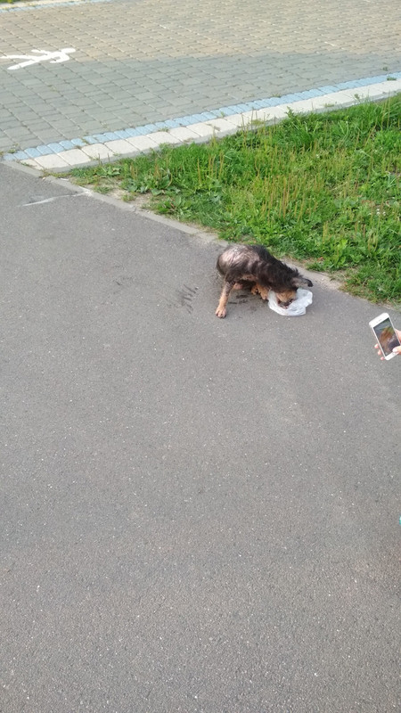 5BF8ACBF-D9CD-4B2F-9A9E-5A05CADAE466