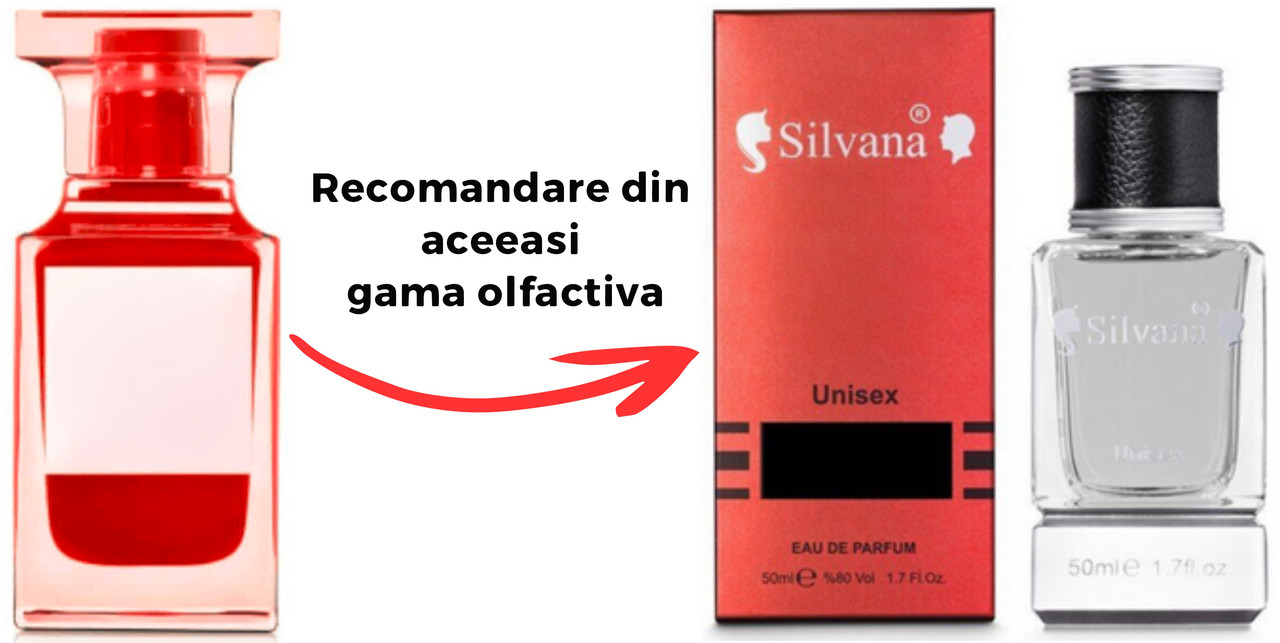 Parfum Silvana Mod SatinMaison Francis Kurkdjian Oud Satin Mood