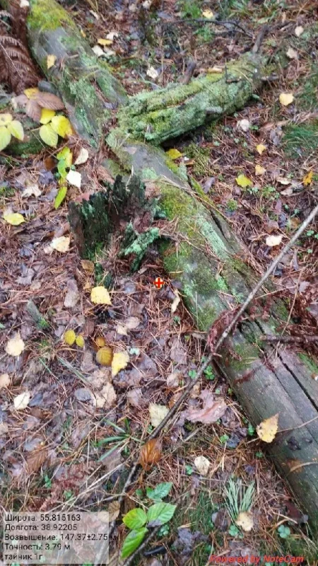 lu2oe44szgbmqhjog7jvx57vhpdy5n54go7grasowrspnelim7dj6id