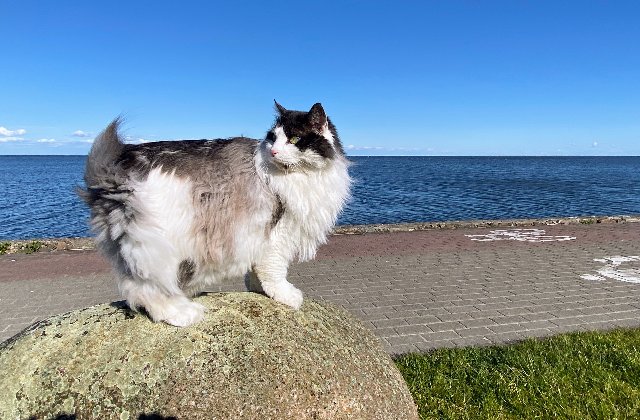 AE3755-D2-4-E51-43-F9-A96-F-6-C77-BEB78-