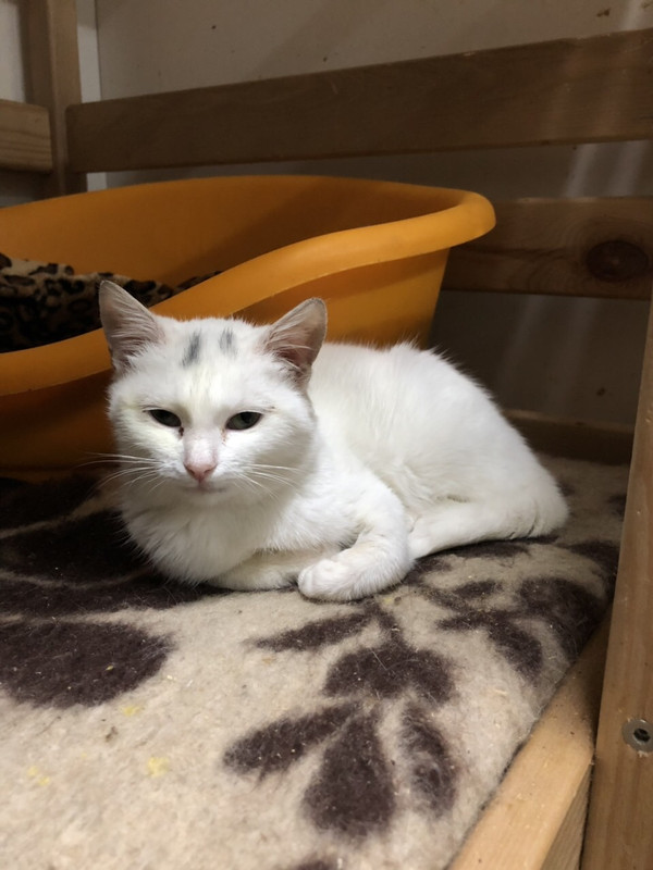 7B46D2DD-0F3B-4DA1-9FE0-D2D923A1719B