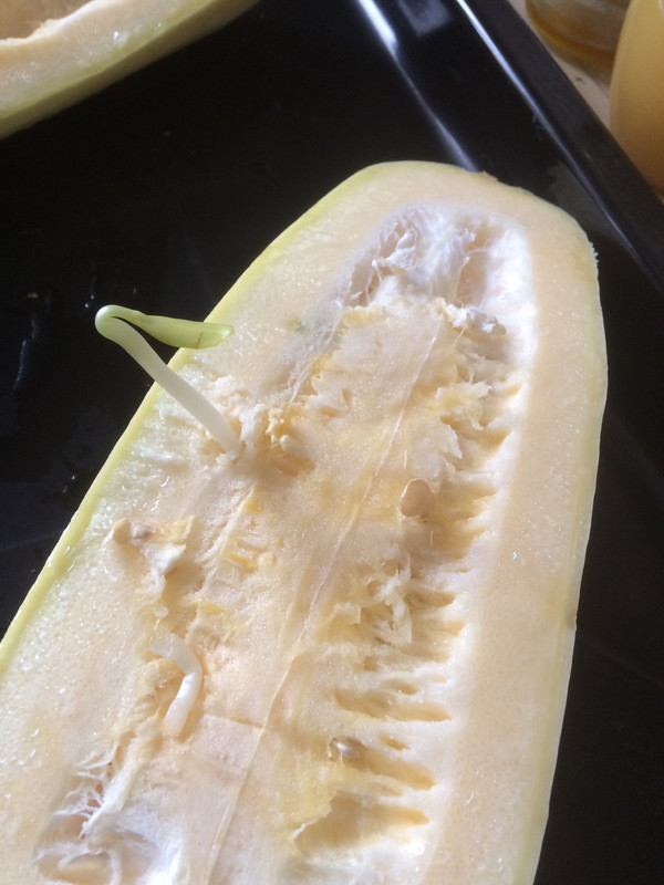 3AA77057-5B36-4E9E-A839-372311005288