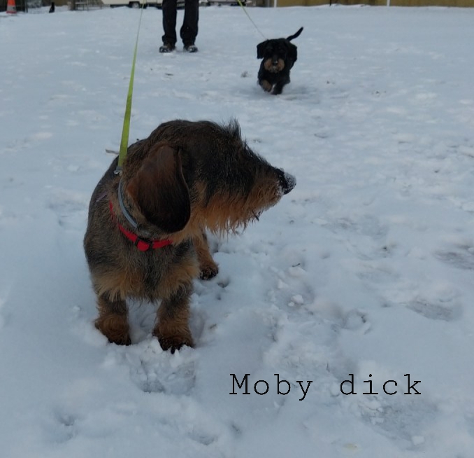 [Image: 20210211-075049.jpg]