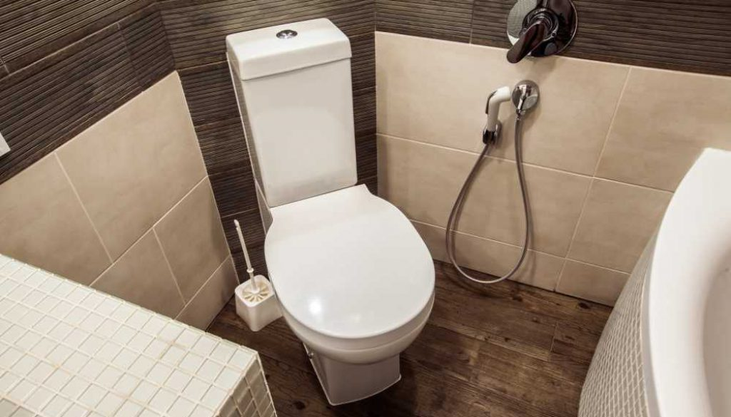 Hand Held Showerhead Bidet with Mixer on Wall
