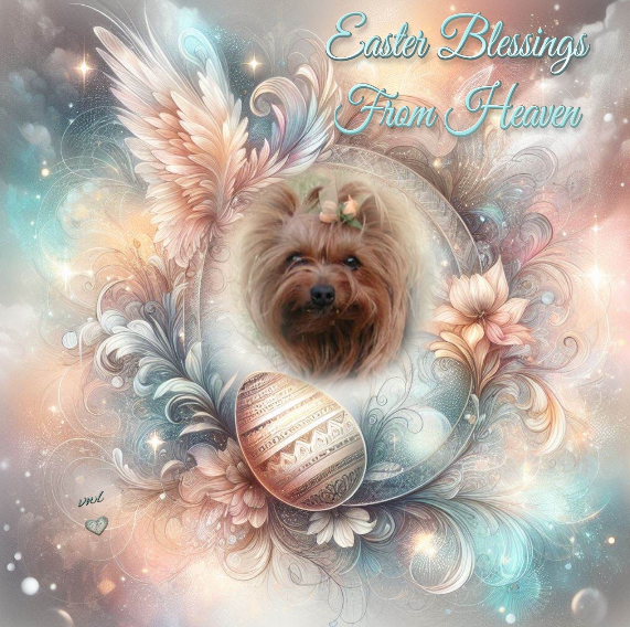 ( a 1 a Pâques Pearle 2